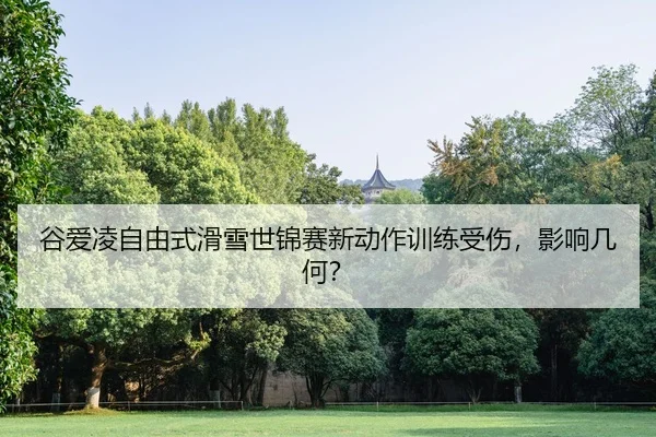 gu-ai-ling-zi-you-shi-hua-xue-shi-jin-sai-xin-dong-zuo-xun-lian-shou-shang-ying-xiang-ji-he-2-658.jpg