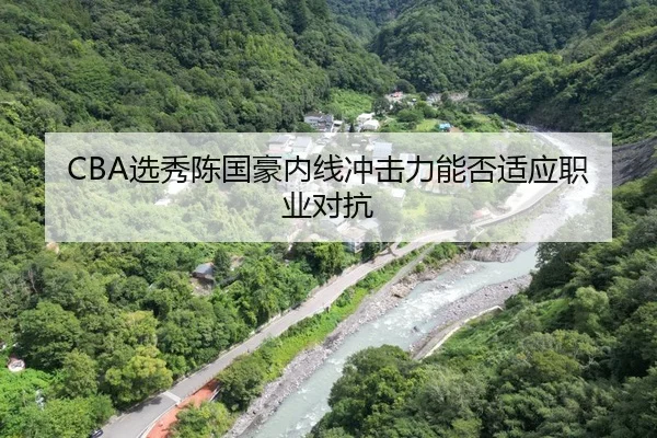 CBA选秀陈国豪内线冲击力能否适应职业对抗