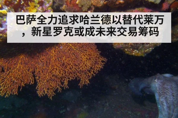 巴萨全力追求哈兰德以替代莱万，新星罗克或成未来交易筹码